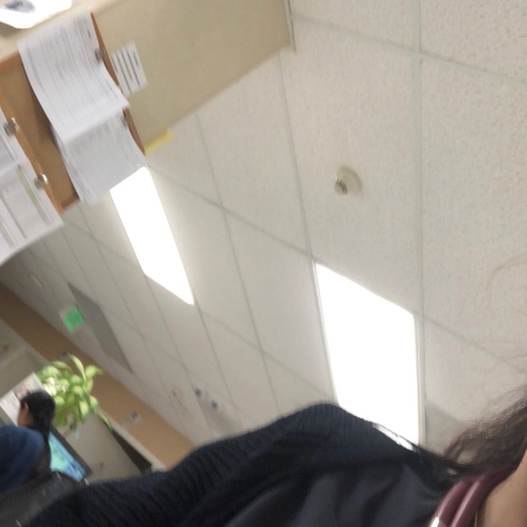 Meet your Posher, Mila - Picture 1 of 1